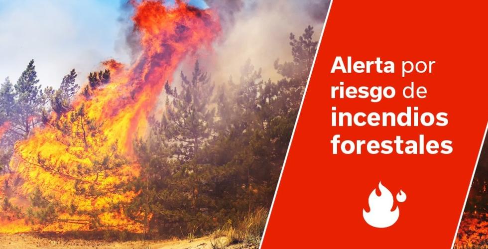 Advarer om høy skogbrannfare på Kanariøyene.